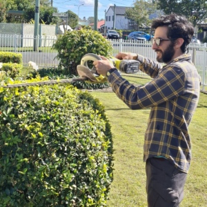 Hedge trim Humming Home c