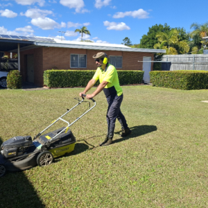 Humming-mowing-services.webp